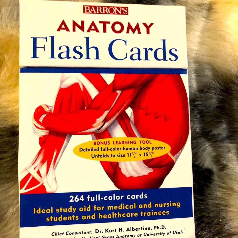 Anatomy flash card set